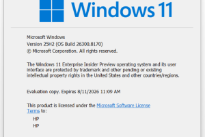 Zo kijk je IPTV op je pc, stap voor stap 2 Venster Over Windows met de Windows-versie en het buildnummer.