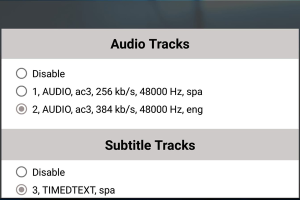Zo kijk je IPTV op je pc, stap voor stap 35 Menu met Audio Tracks en Subtitle Tracks voor het kiezen van audio en ondertiteling.
