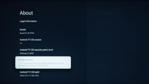Hoe kun je IPTV installeren op Smart TV? 1