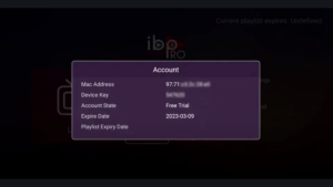 IBO Player Pro activeren voor IPTV: de complete handleiding in 10 stappen 3 Het accountvenster van IBO Player Pro met de velden Mac Address en Device Key en vervaagde apparaatcodes.