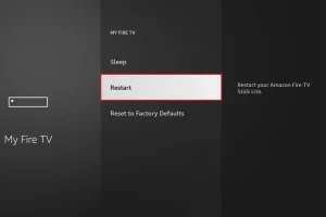 IPTV Storing Vandaag: Wat Zijn de Oorzaken en Oplossingen? 9 Mon menu Fire TV avec option Redemarrer sélectionnée.