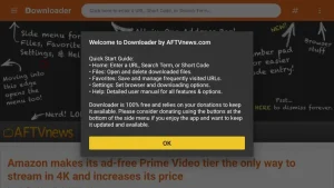 Hoe werkt Fire TV Stick met IPTV ? Stap-voor-stap 7 enter the official download address